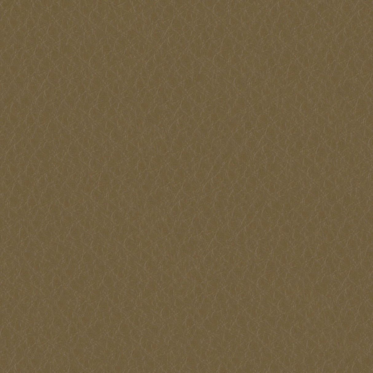 Emotion 216304