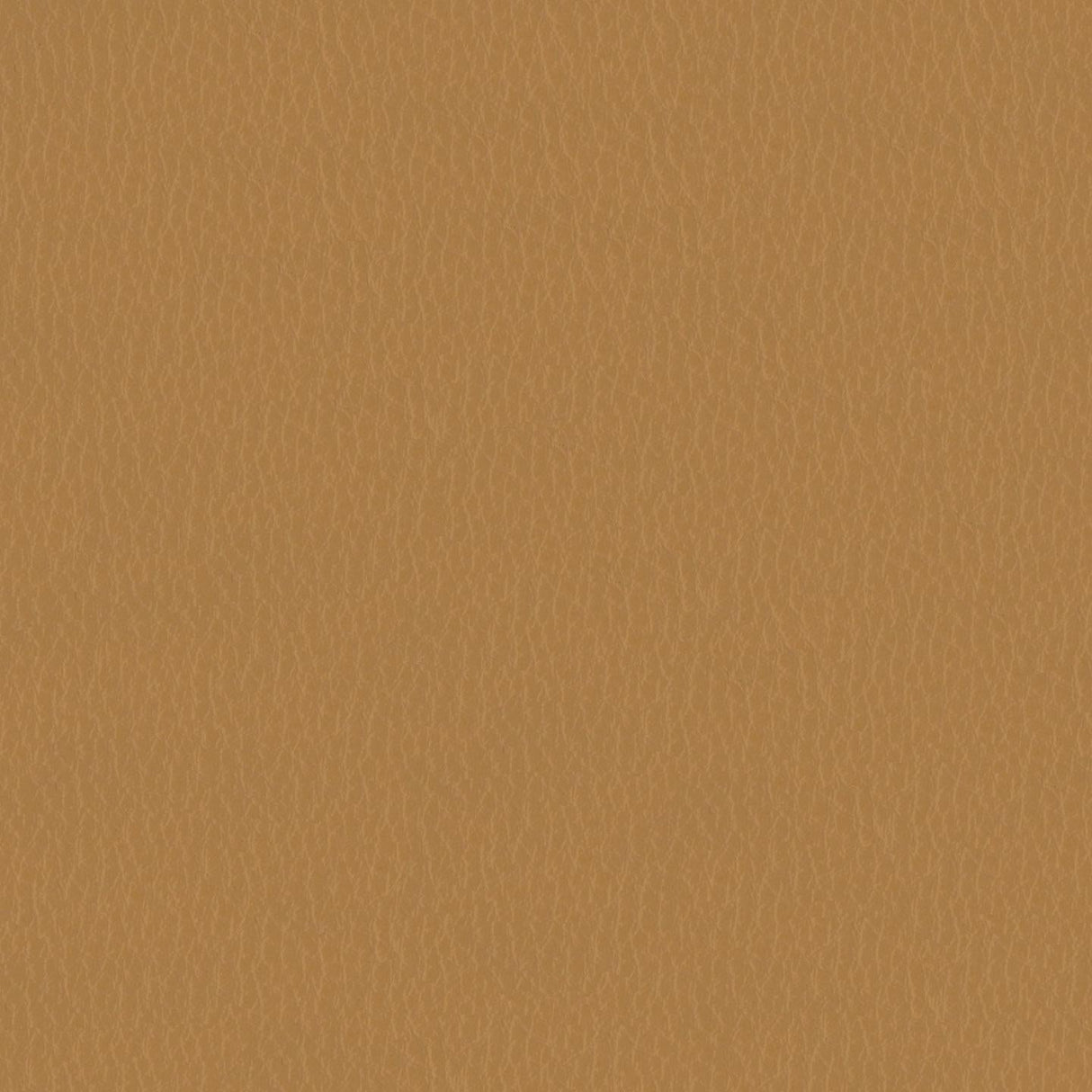 Emotion 218124