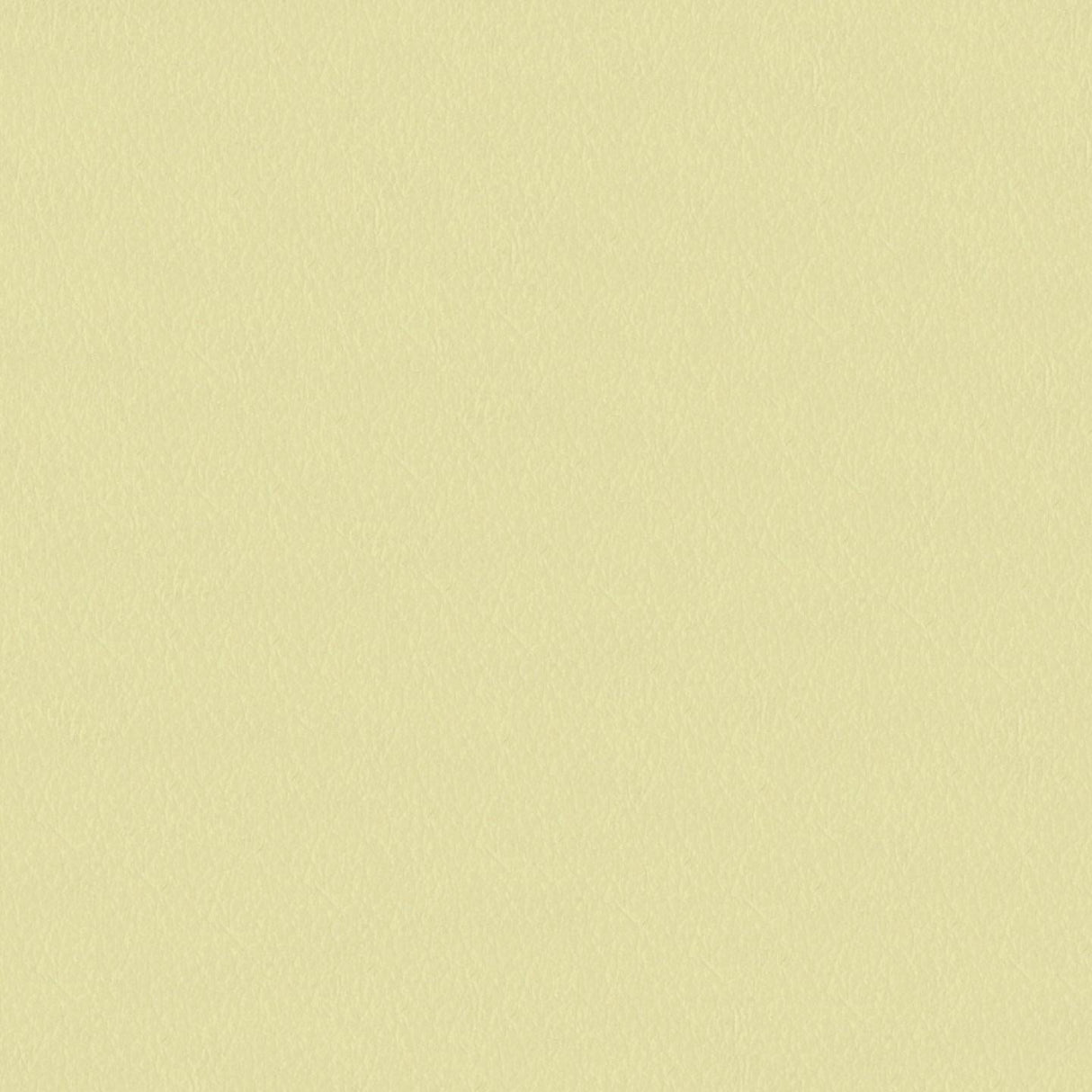 Emotion 219005