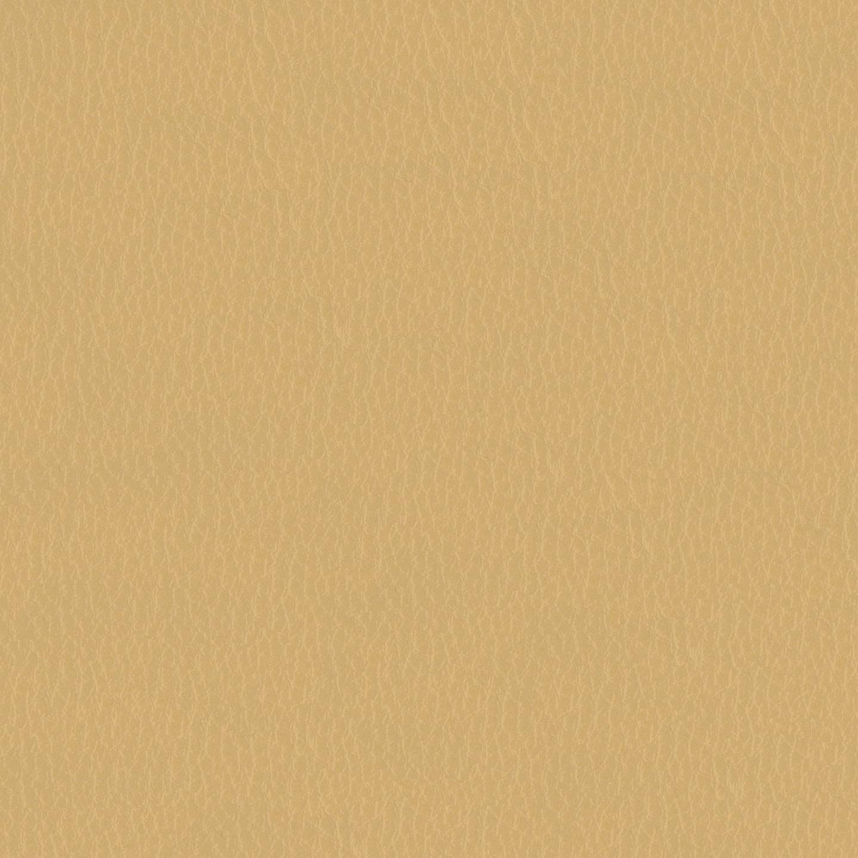 Emotion 221104