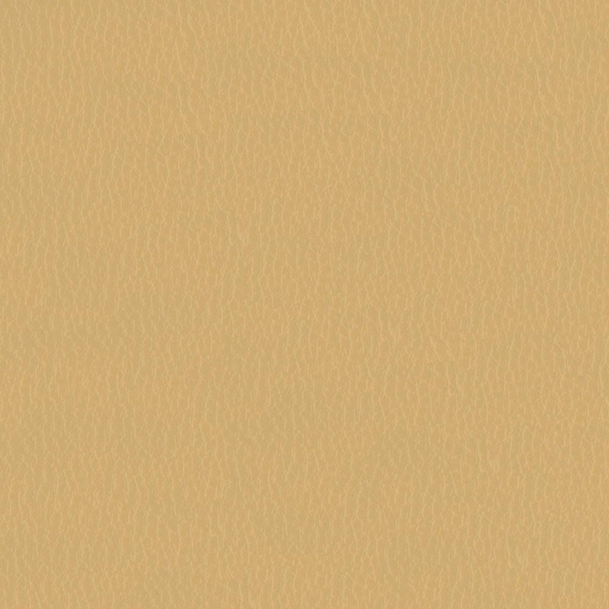 Emotion 221104