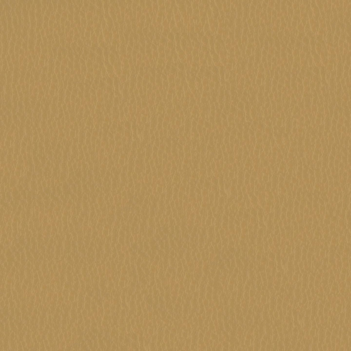 Emotion 222114