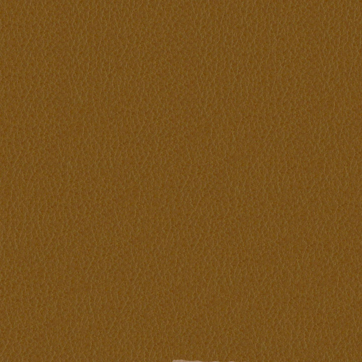 Emotion 223154