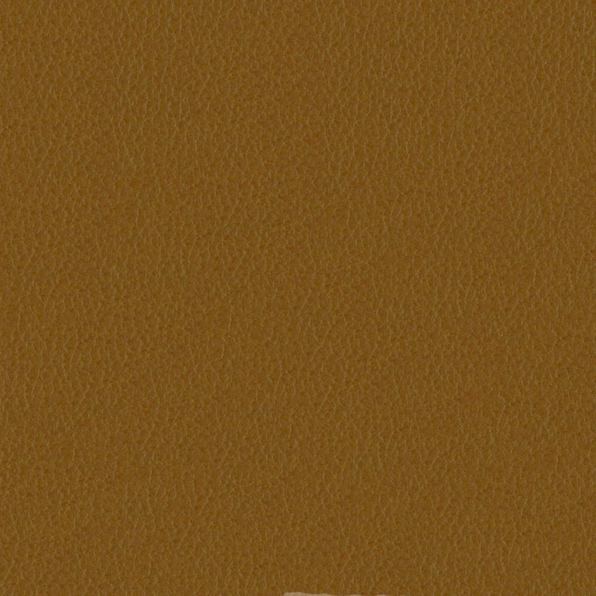 Emotion 223154