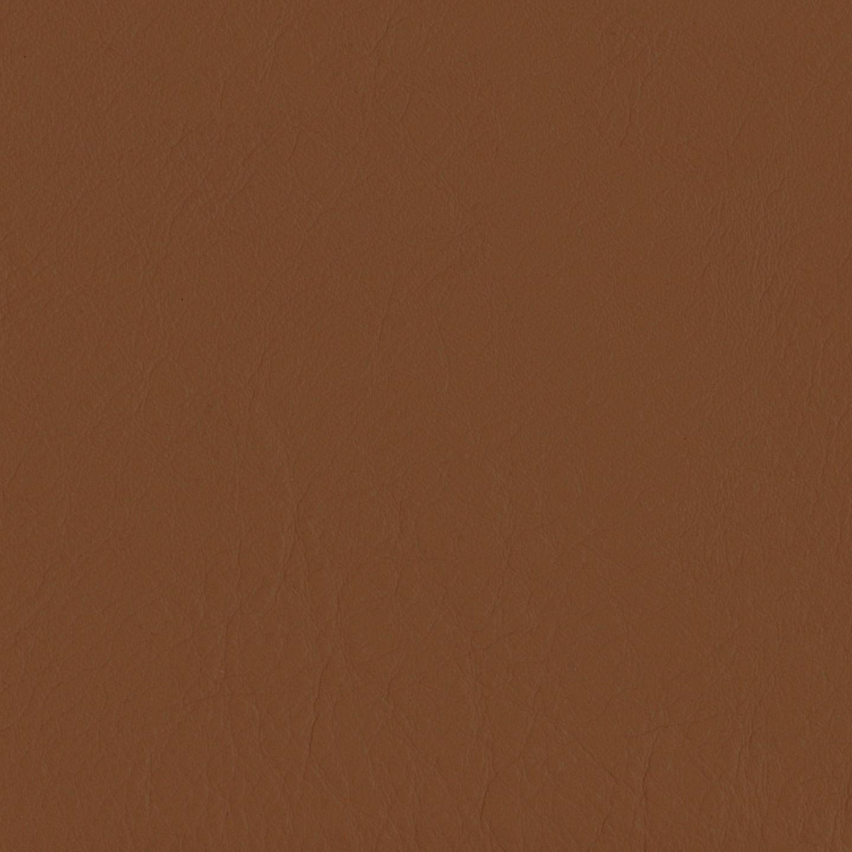 Emotion 228274