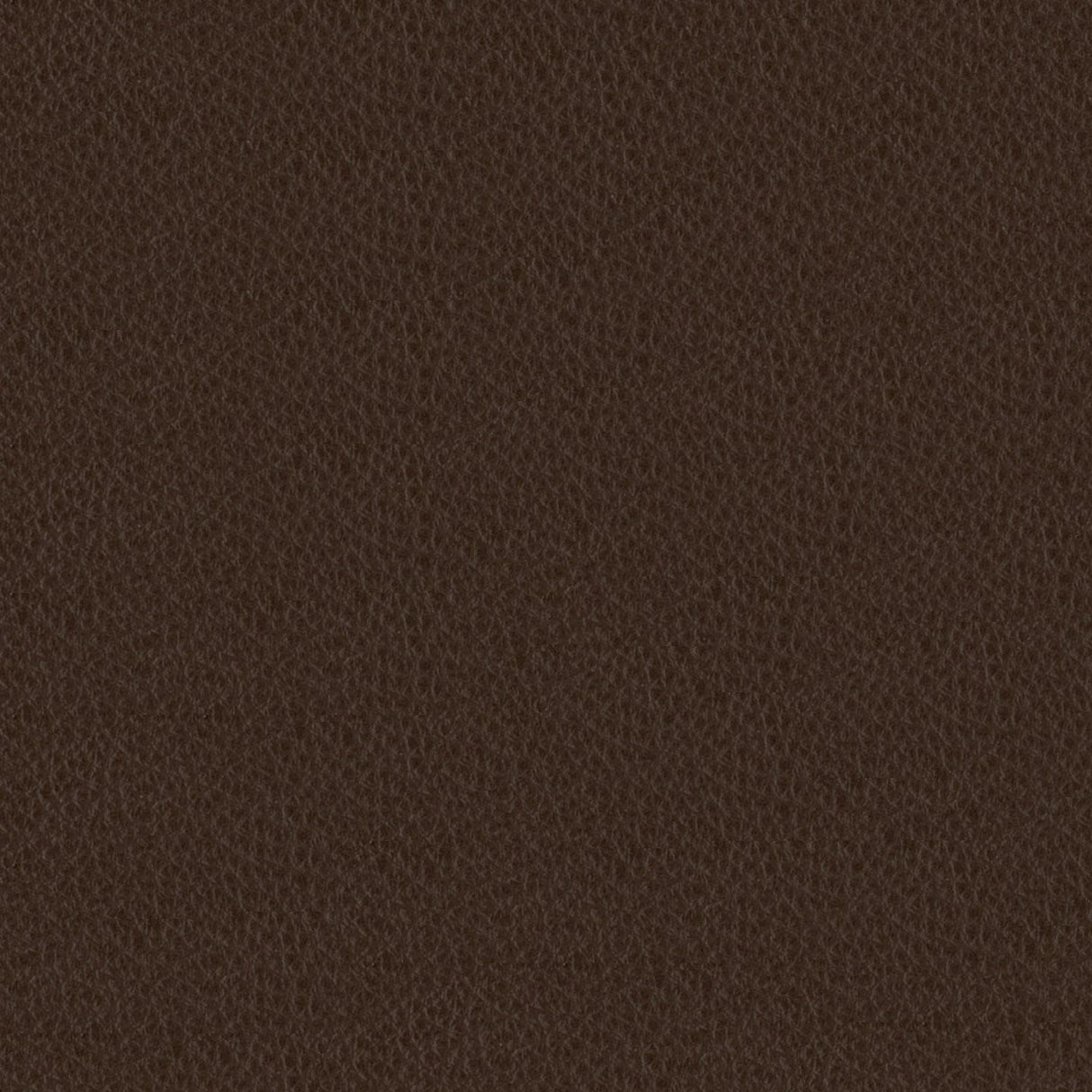 Emotion 231374