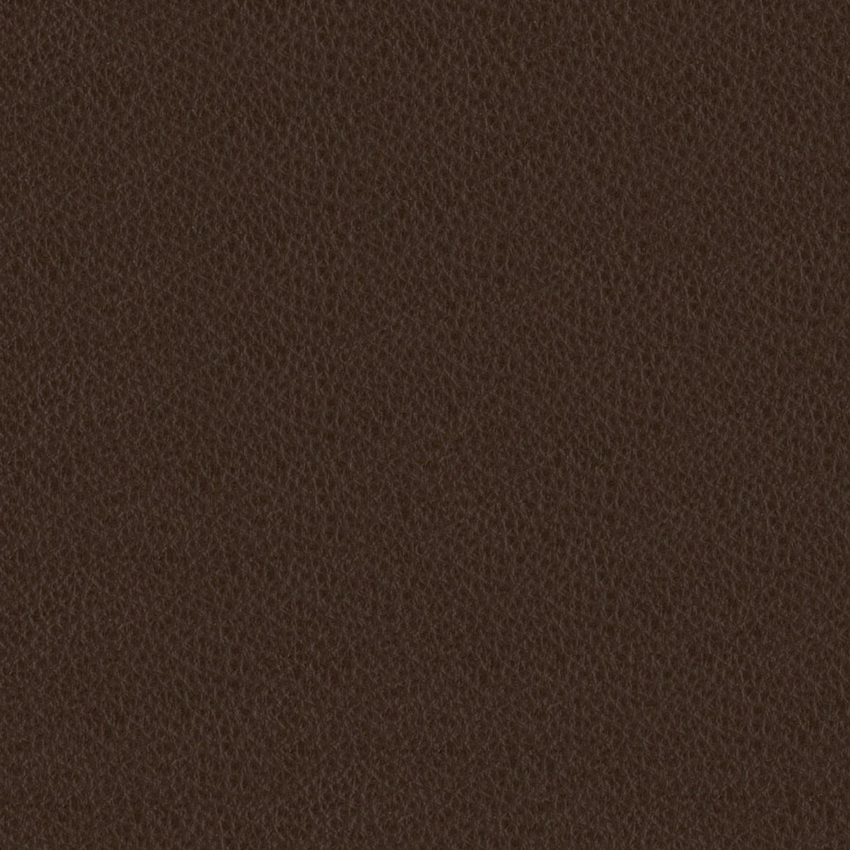 Emotion 231374