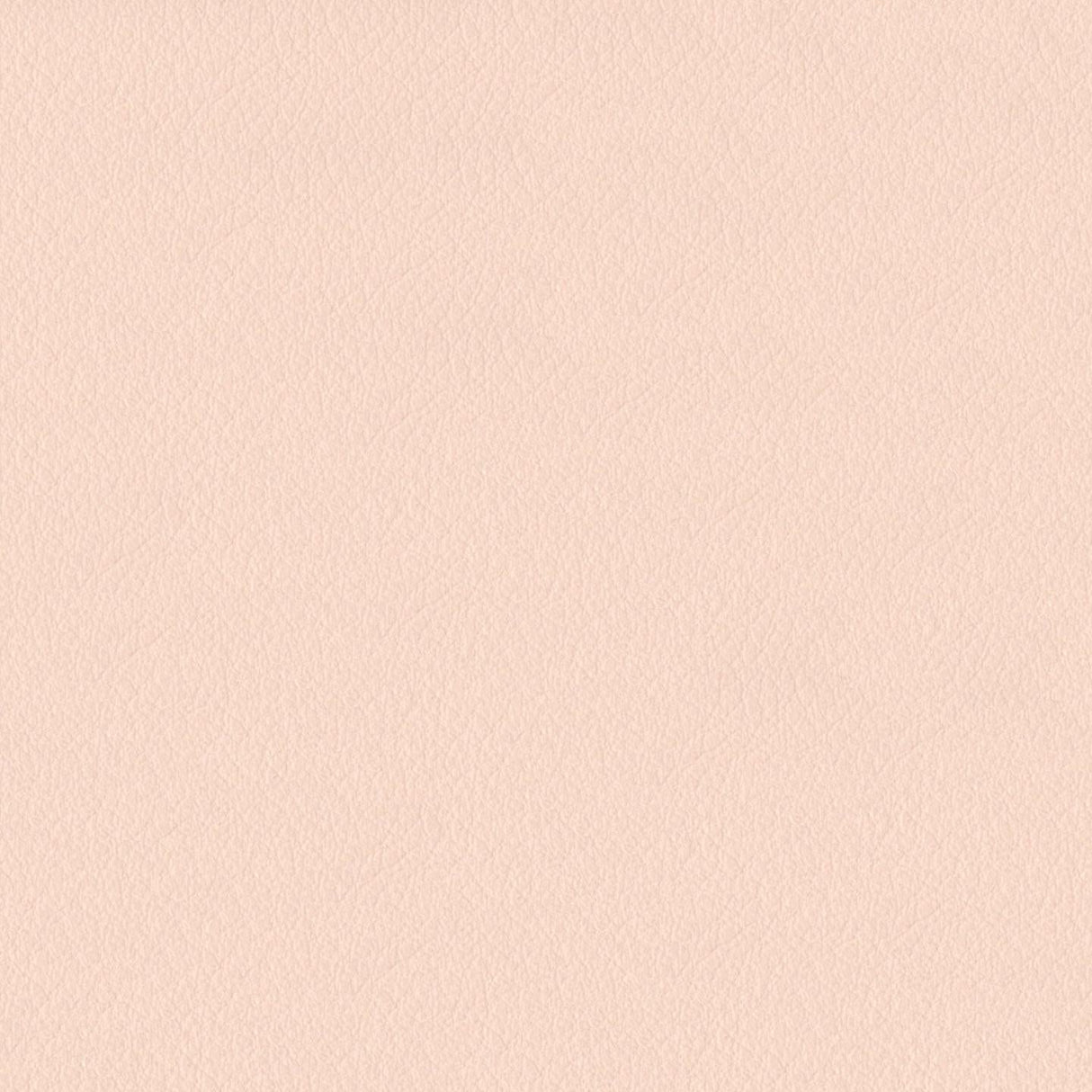 Emotion 237013
