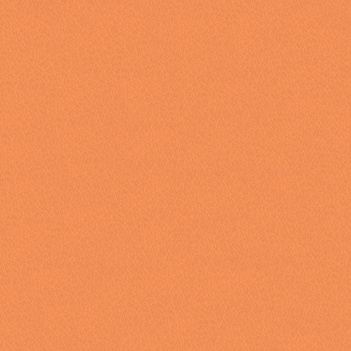 Emotion 244019