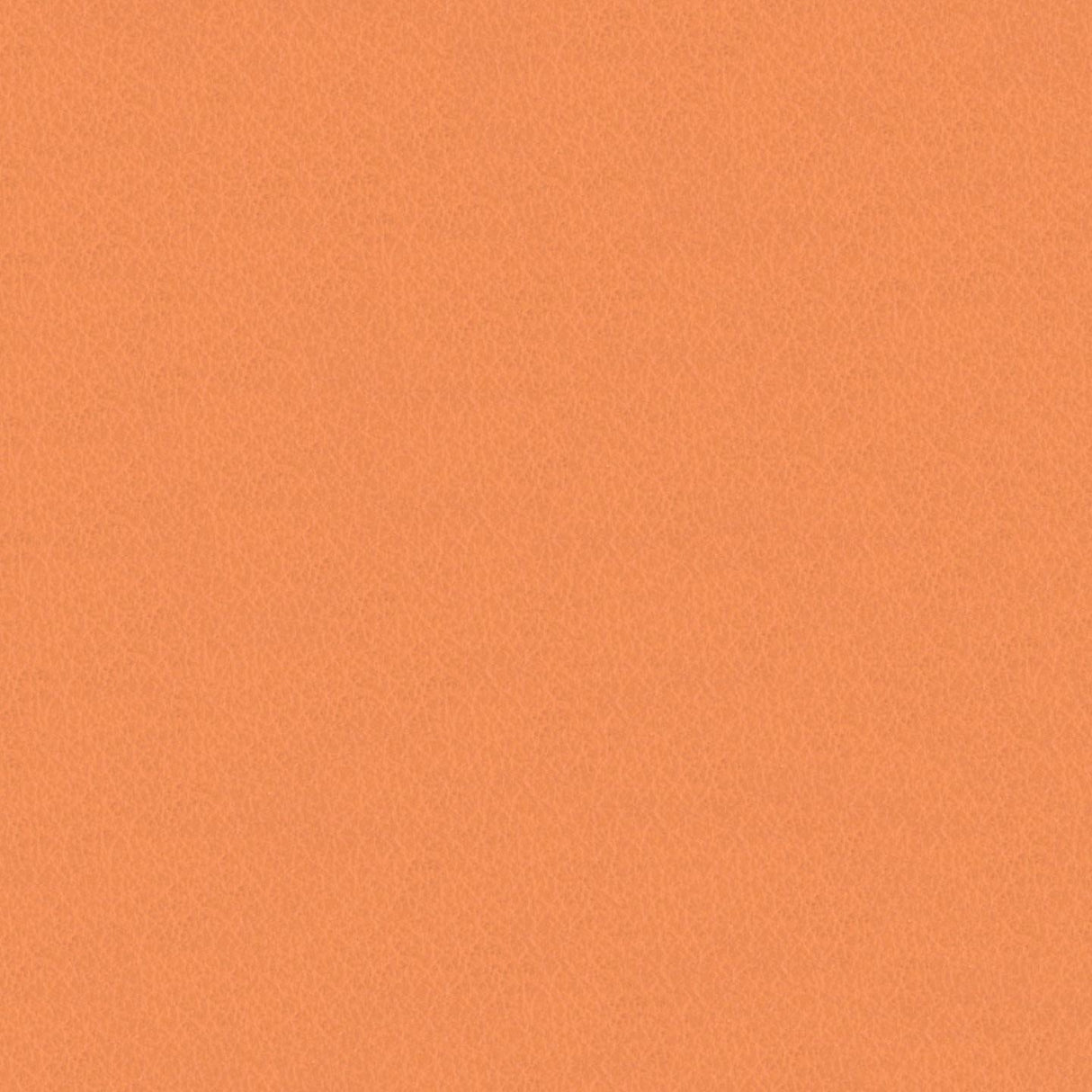 Emotion 244019