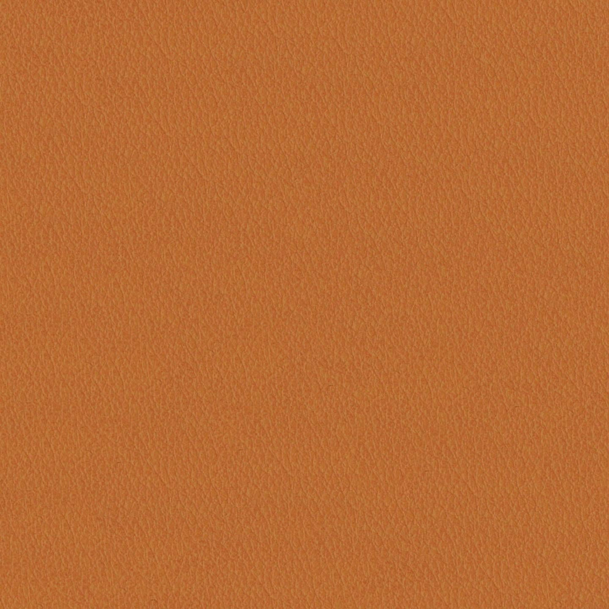 Emotion 246029