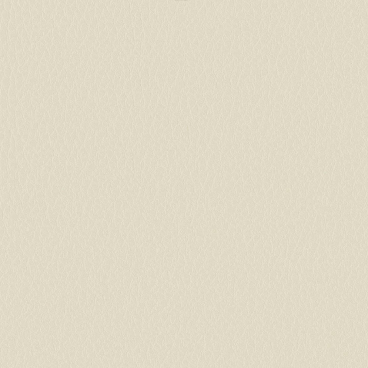 Emotion 253024