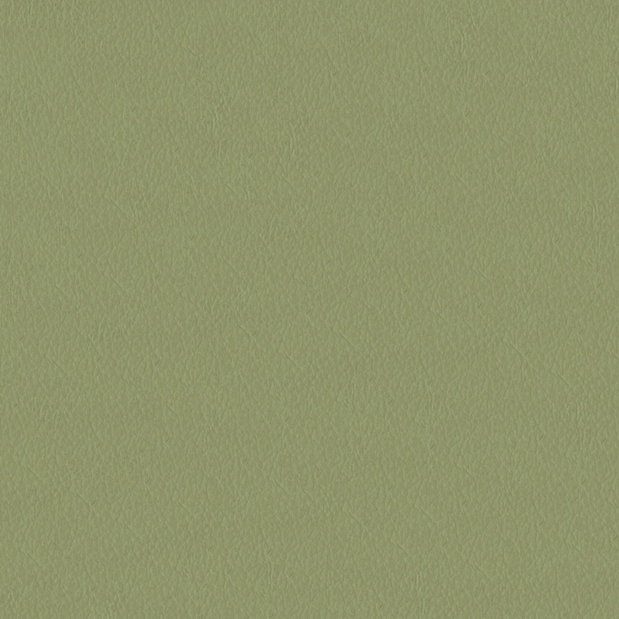 Emotion 255118