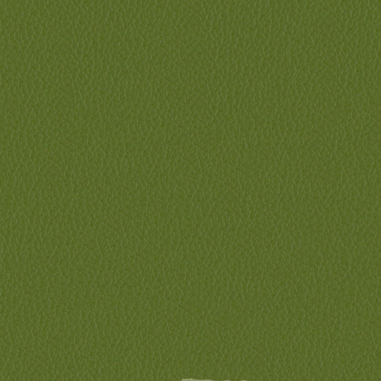 Emotion 256128