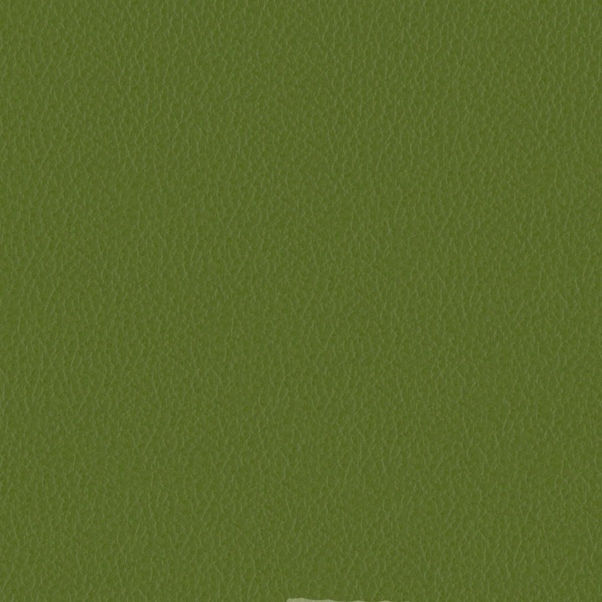 Emotion 256128