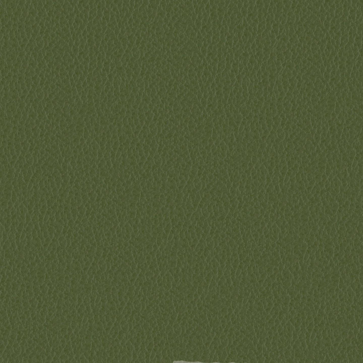 Emotion 257138