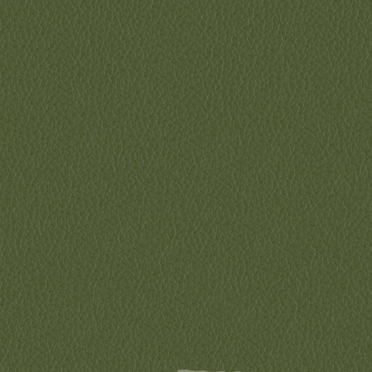 Emotion 257138