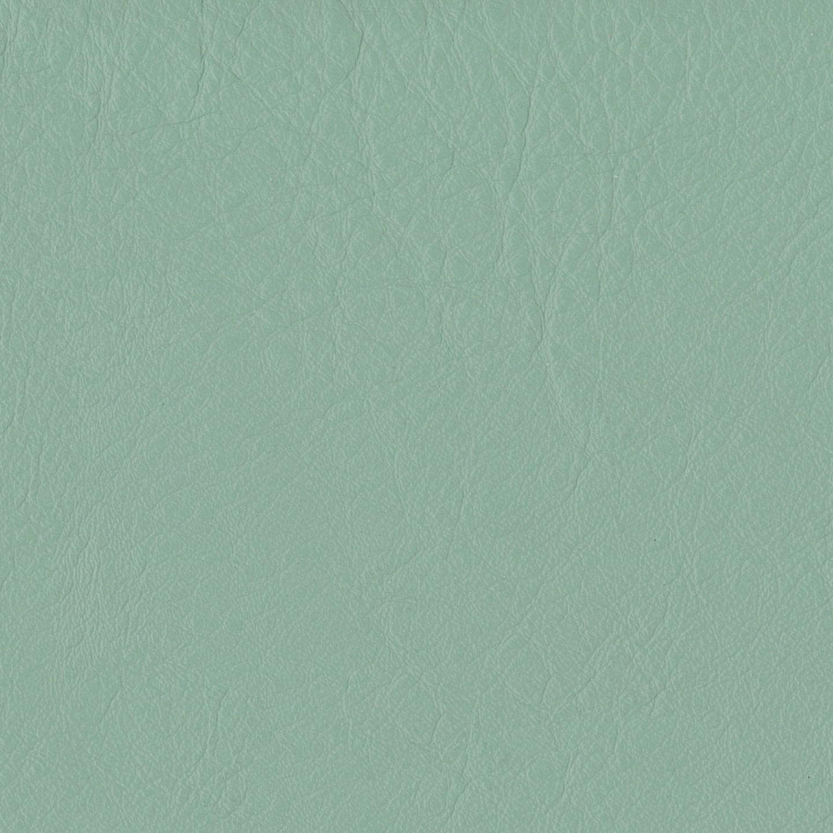 Emotion 260208
