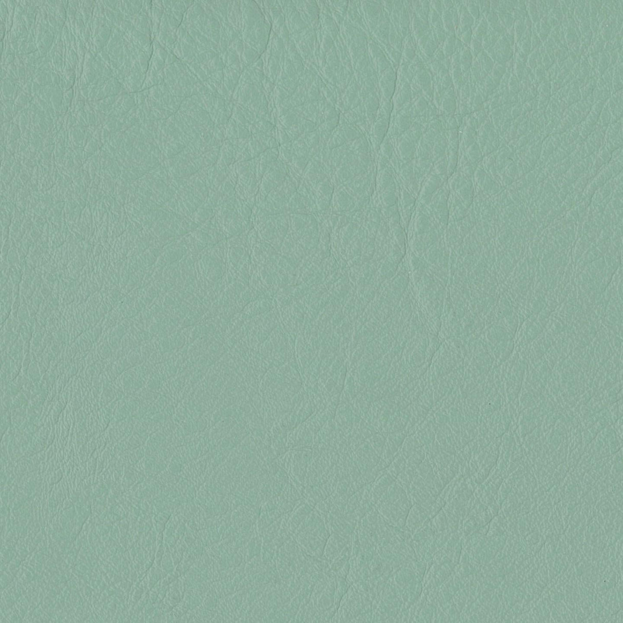 Emotion 260208