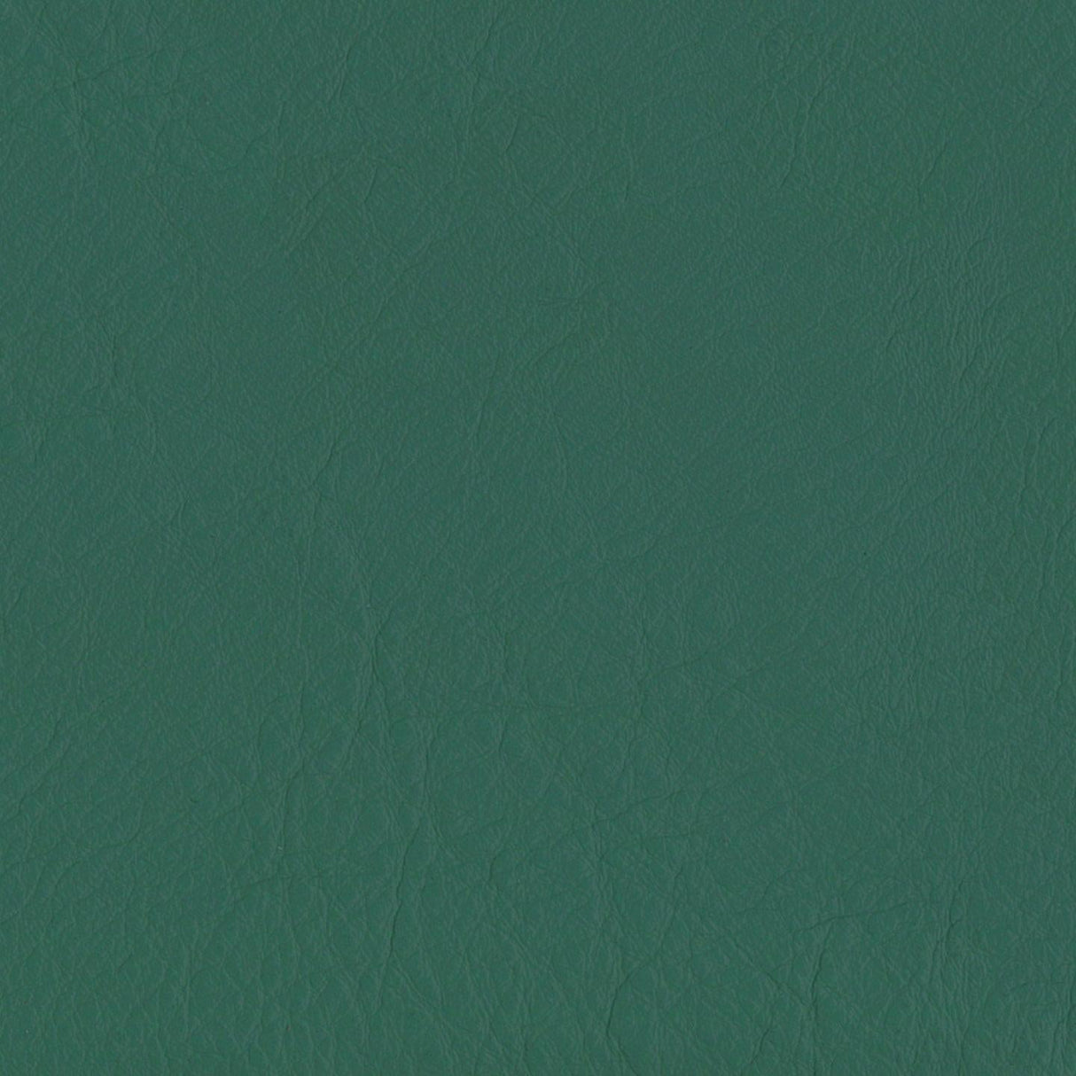 Emotion 261388