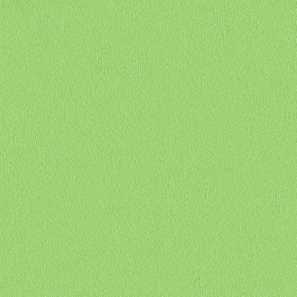 Emotion 263008
