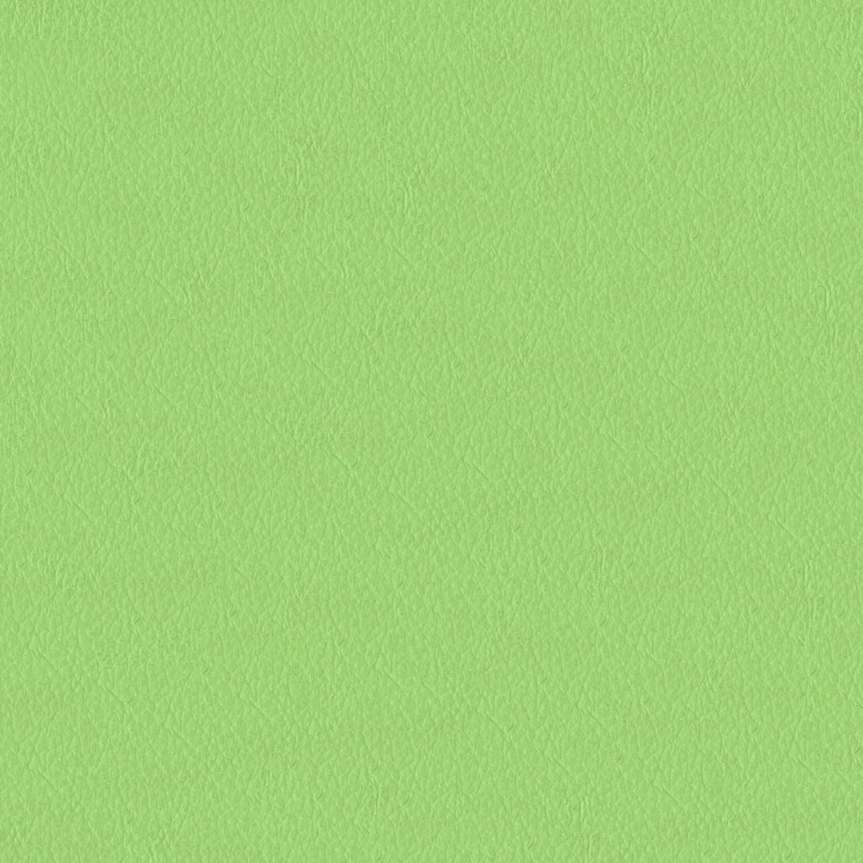 Emotion 263008