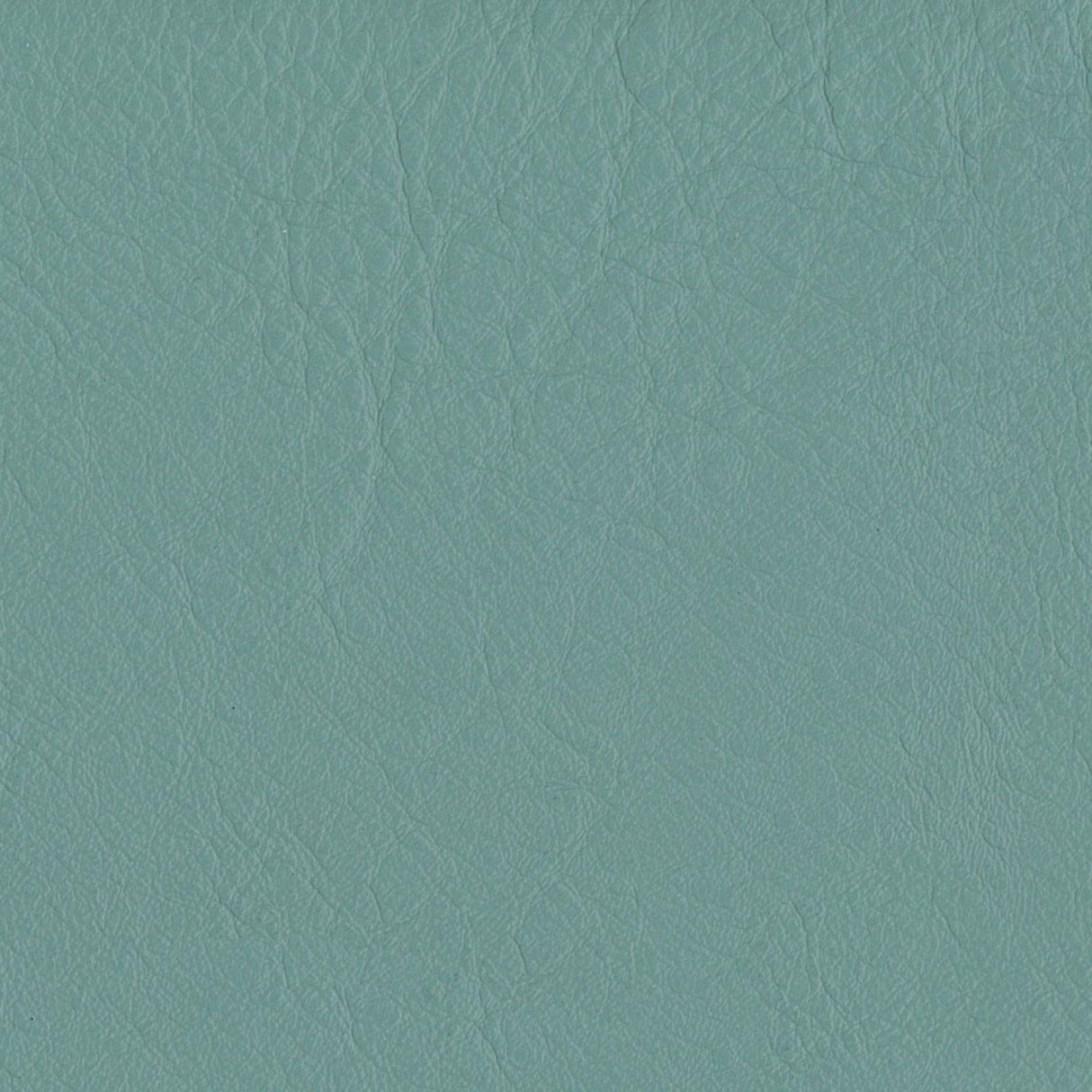 Emotion 265218