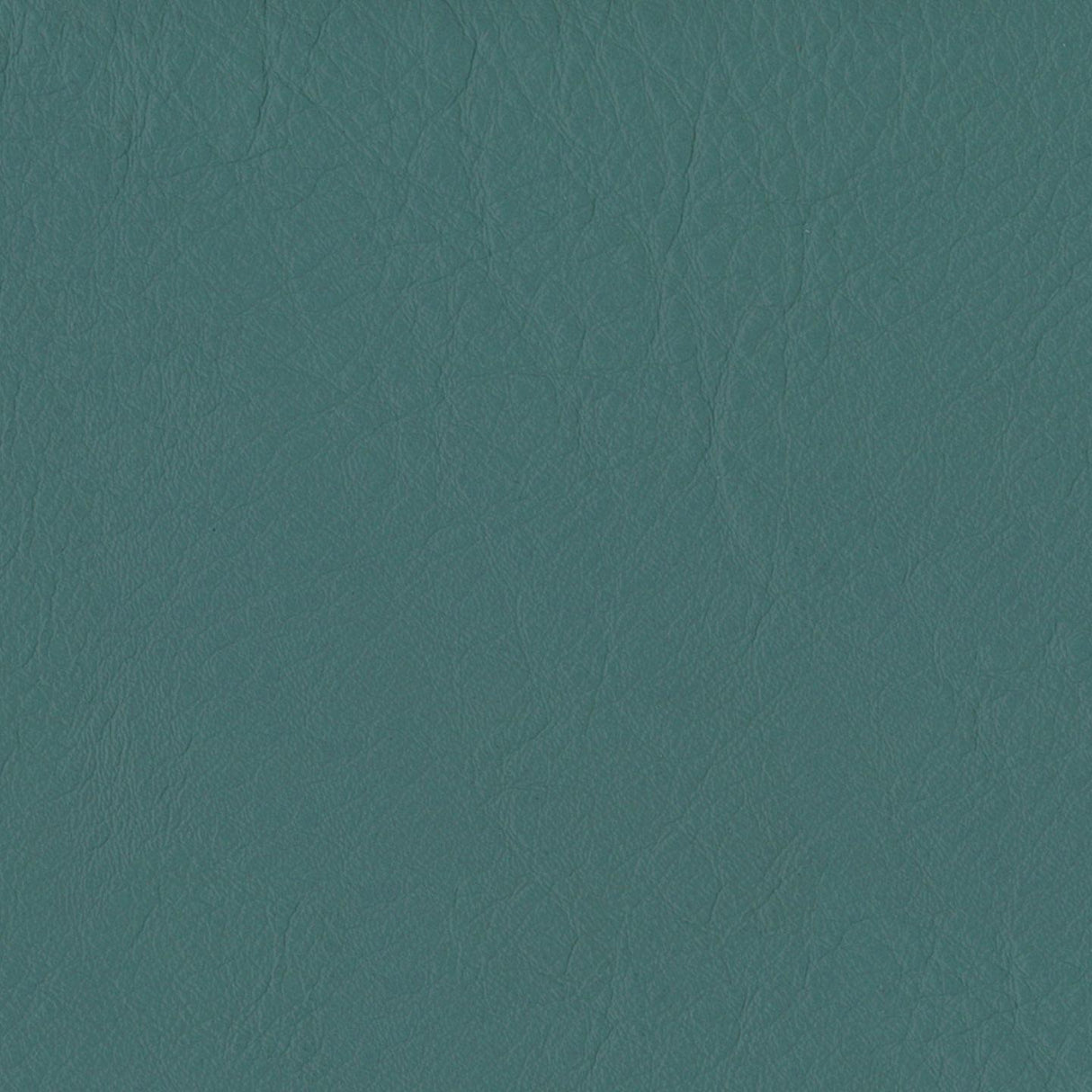 Emotion 266228
