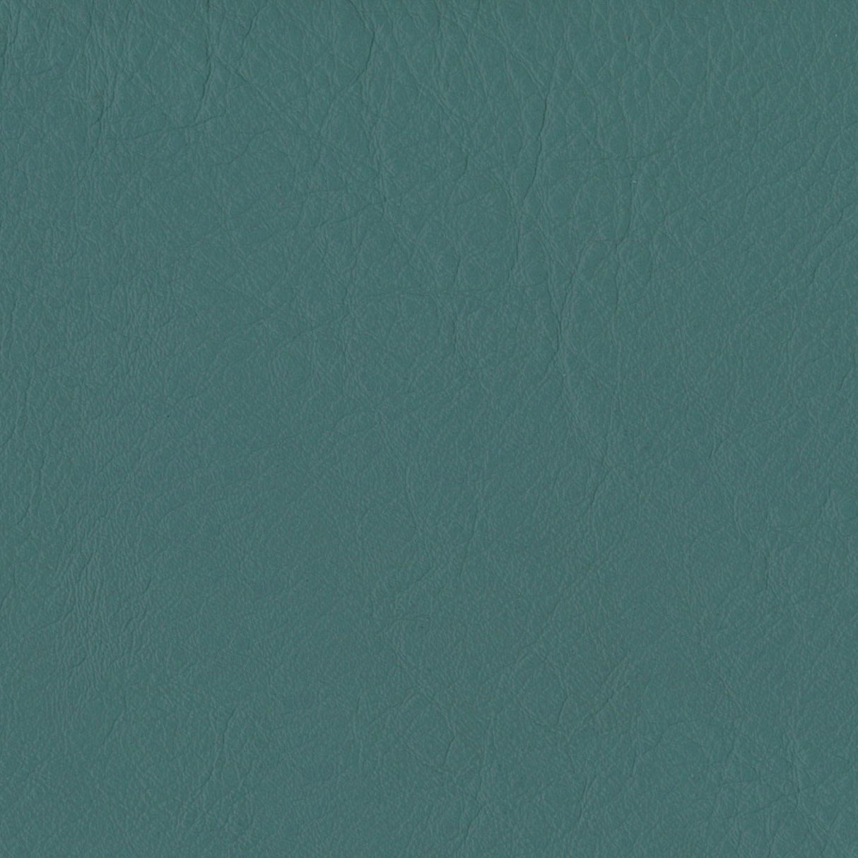 Emotion 266228