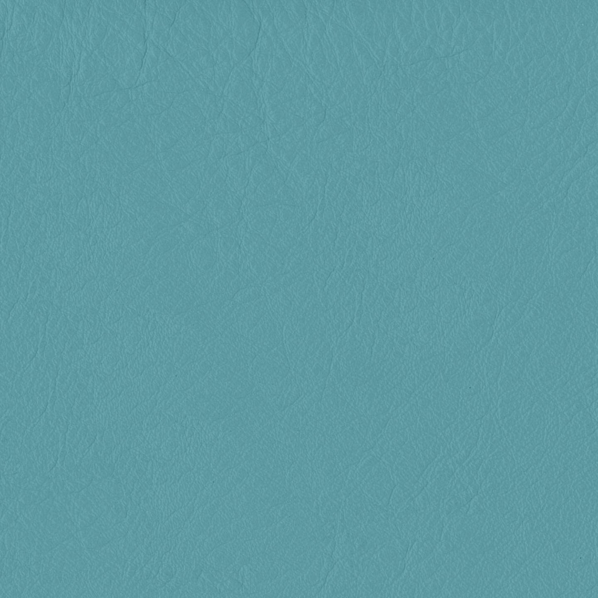 Emotion 268308