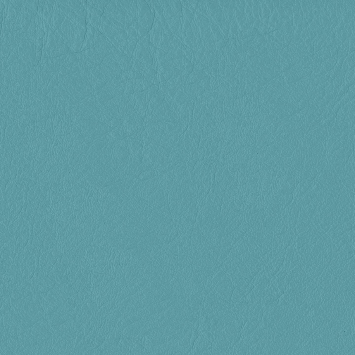 Emotion 268308