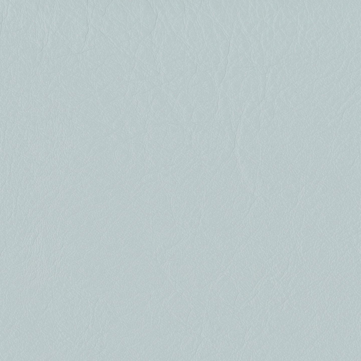Emotion 276007
