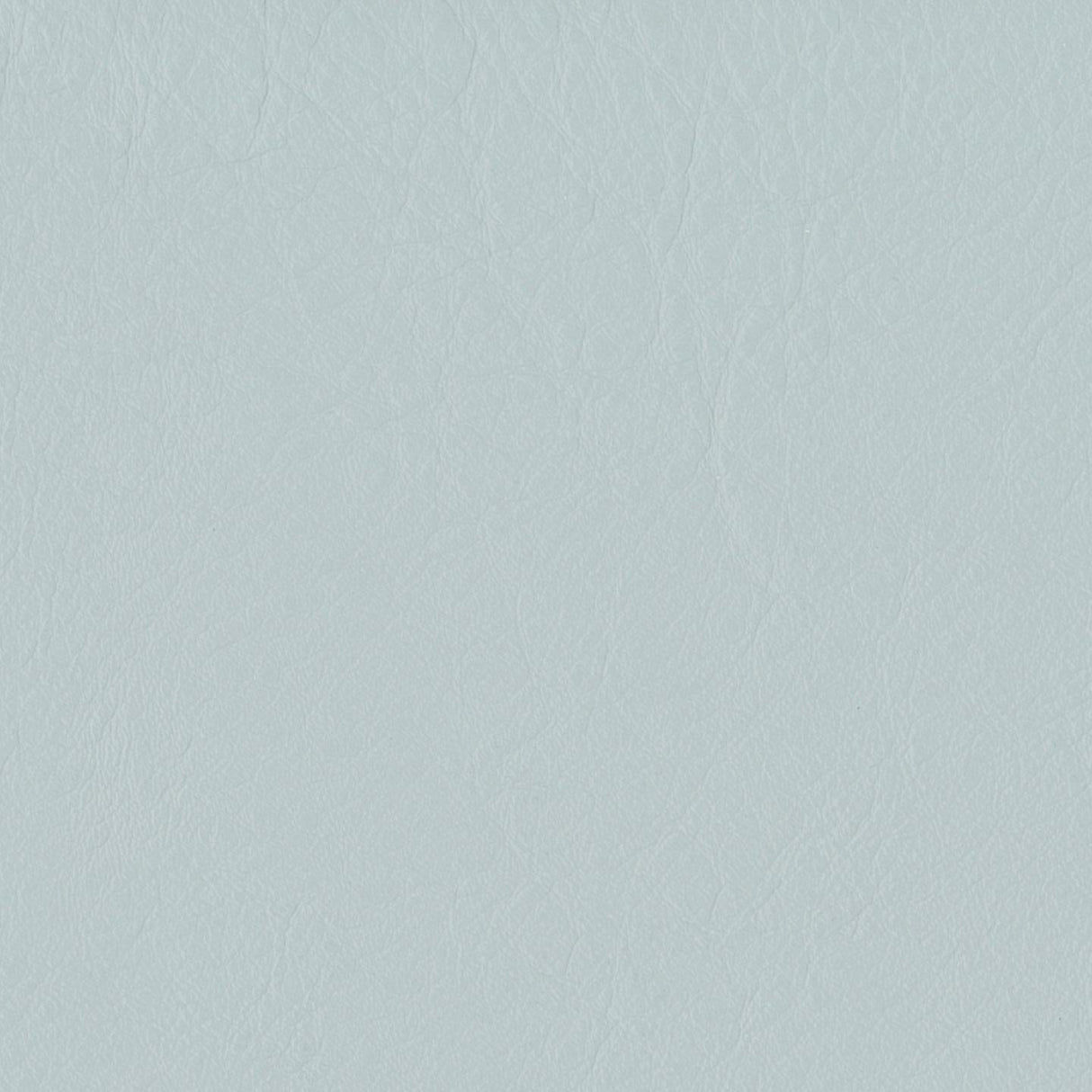 Emotion 276007