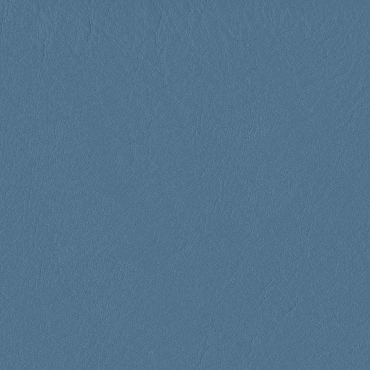 Emotion 278207