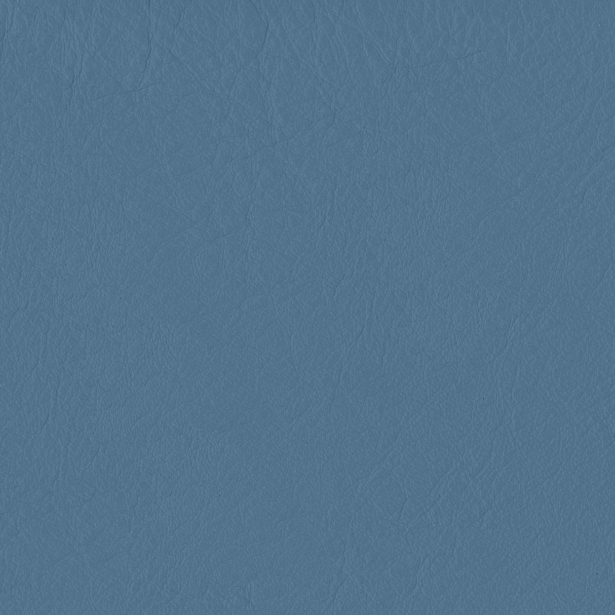 Emotion 278207