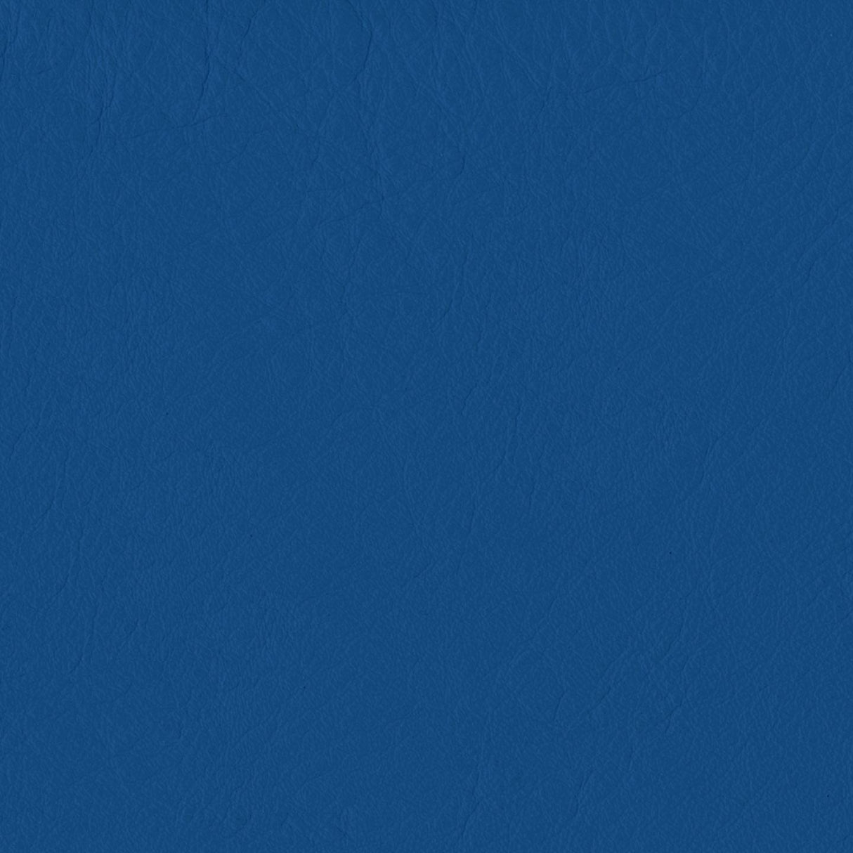 Emotion 279307