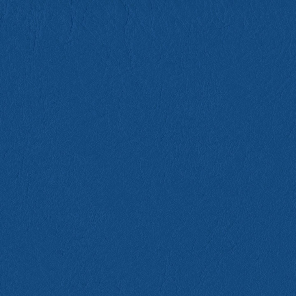 Emotion 279307