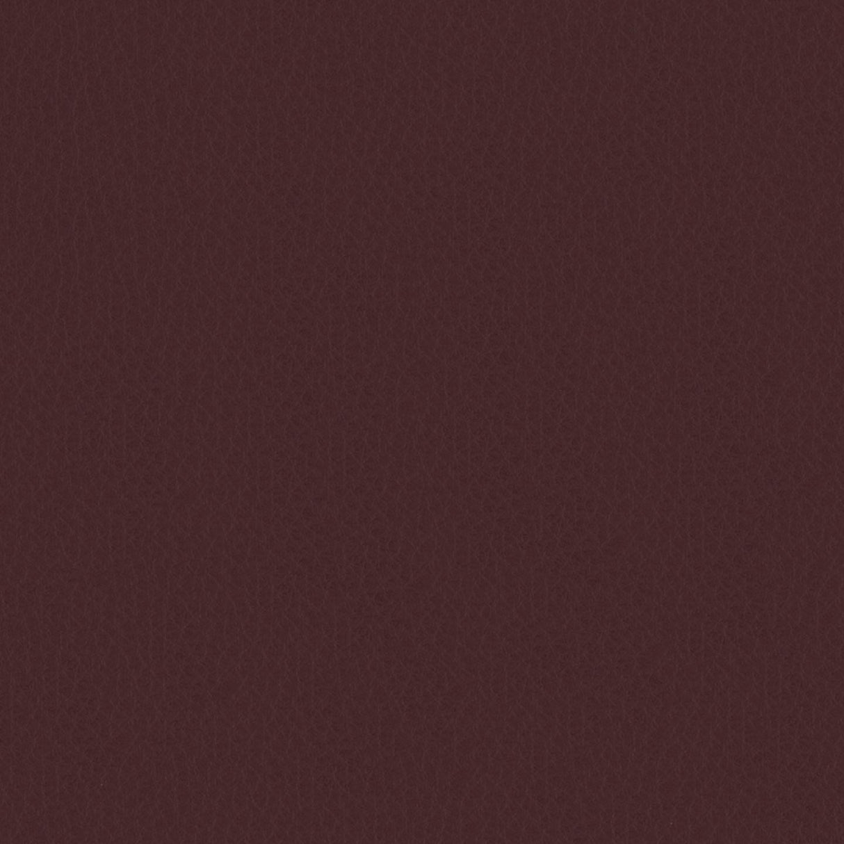 Emotion 284129