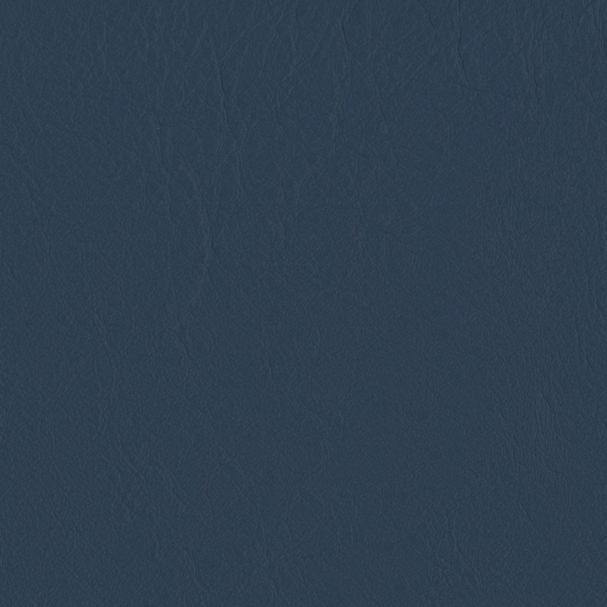 Emotion 291377