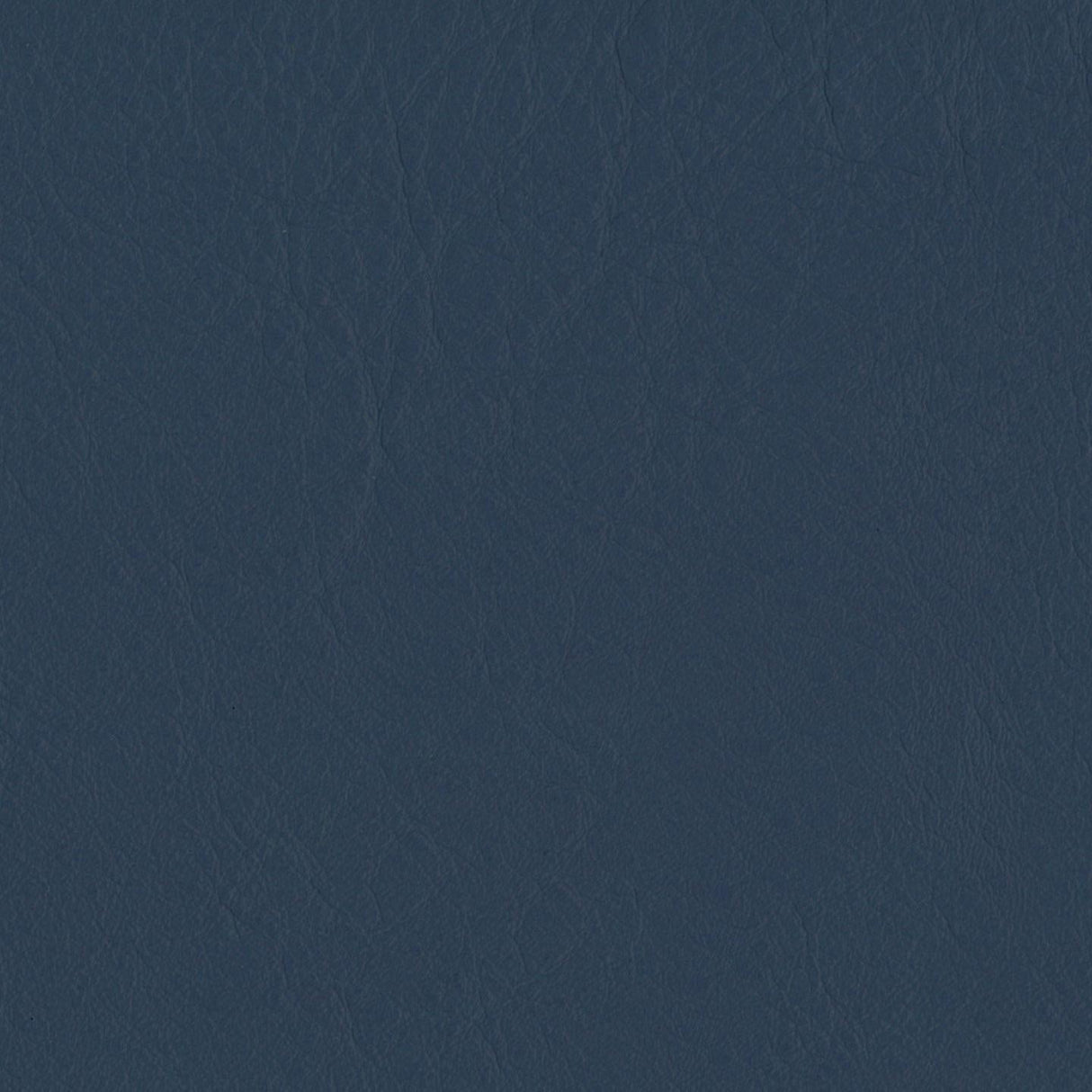 Emotion 291377