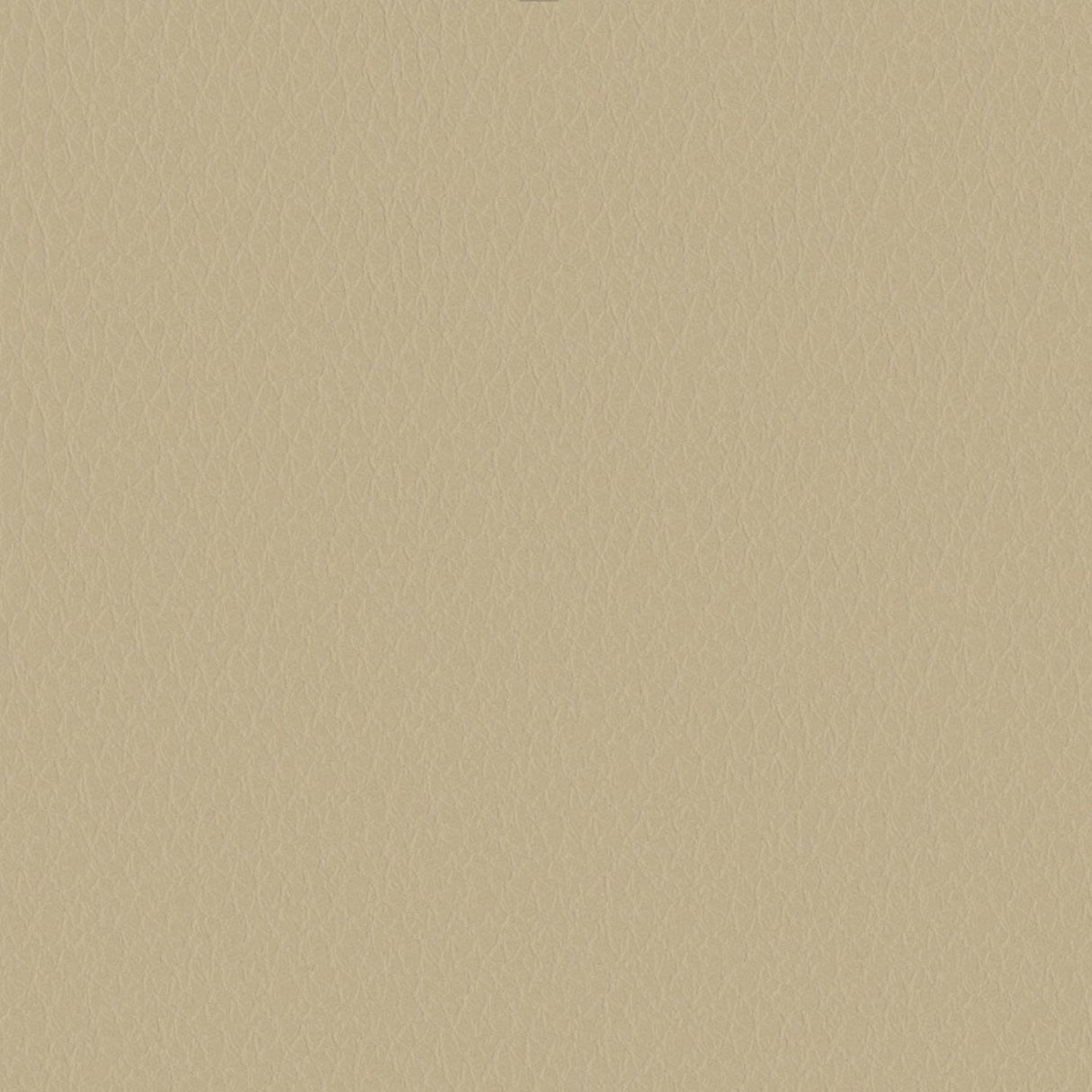 Emotion 292044