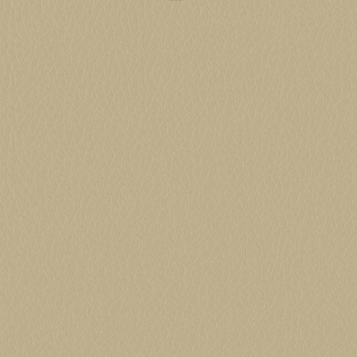 Emotion 292044