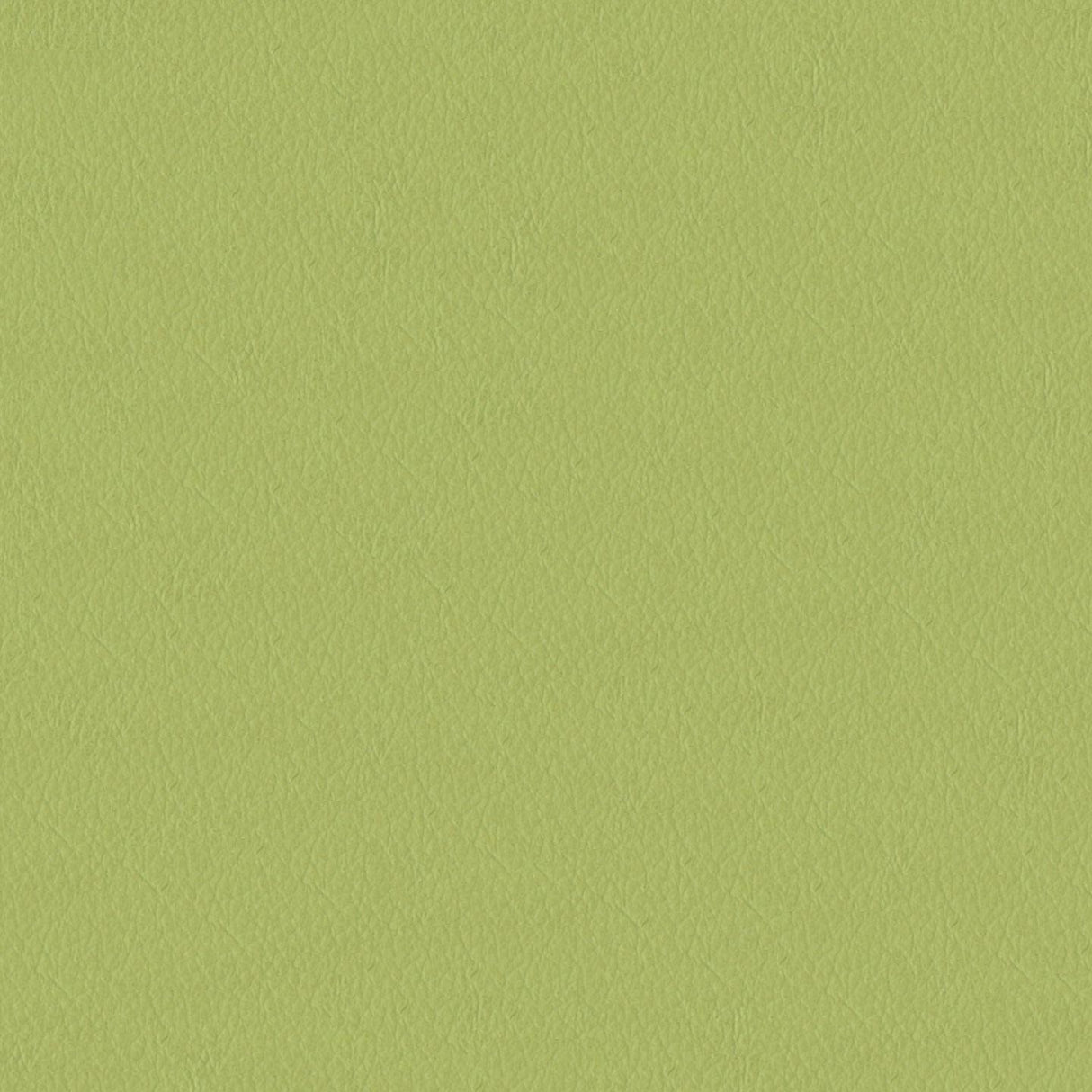 Emotion 294108