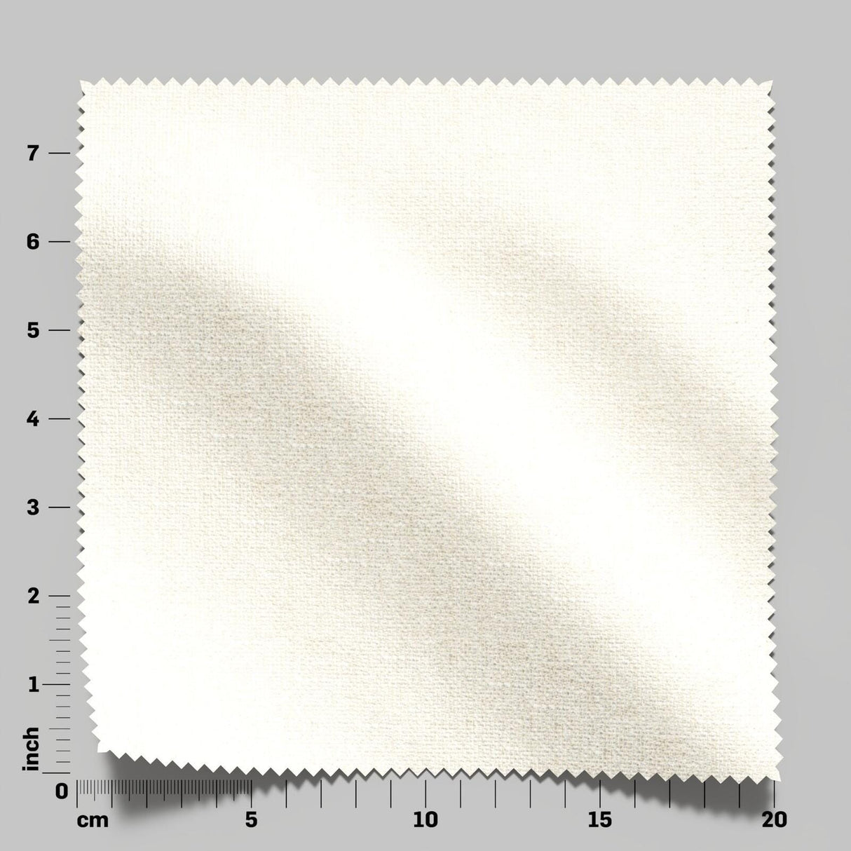 Excel 02 Oyster