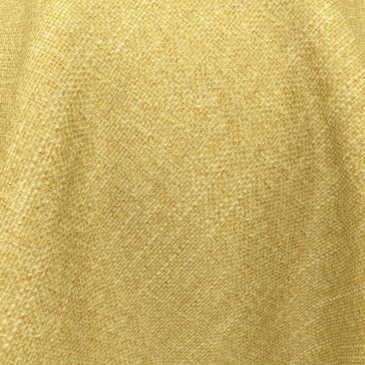 Excel 31 Mimosa