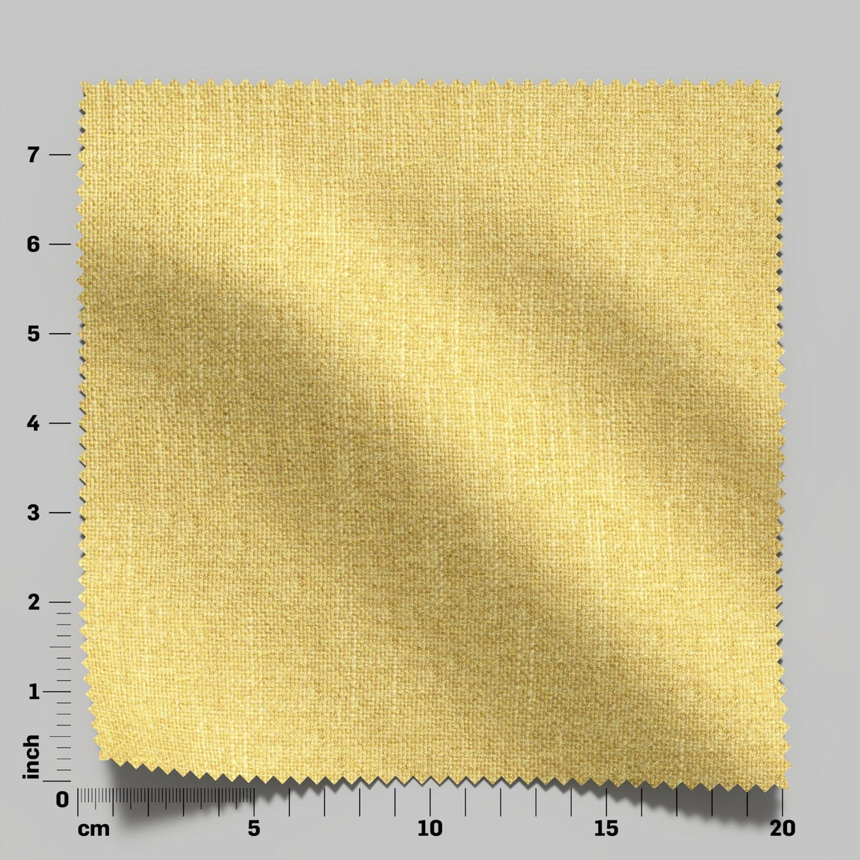 Excel 31 Mimosa
