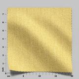 Excel 31 Mimosa