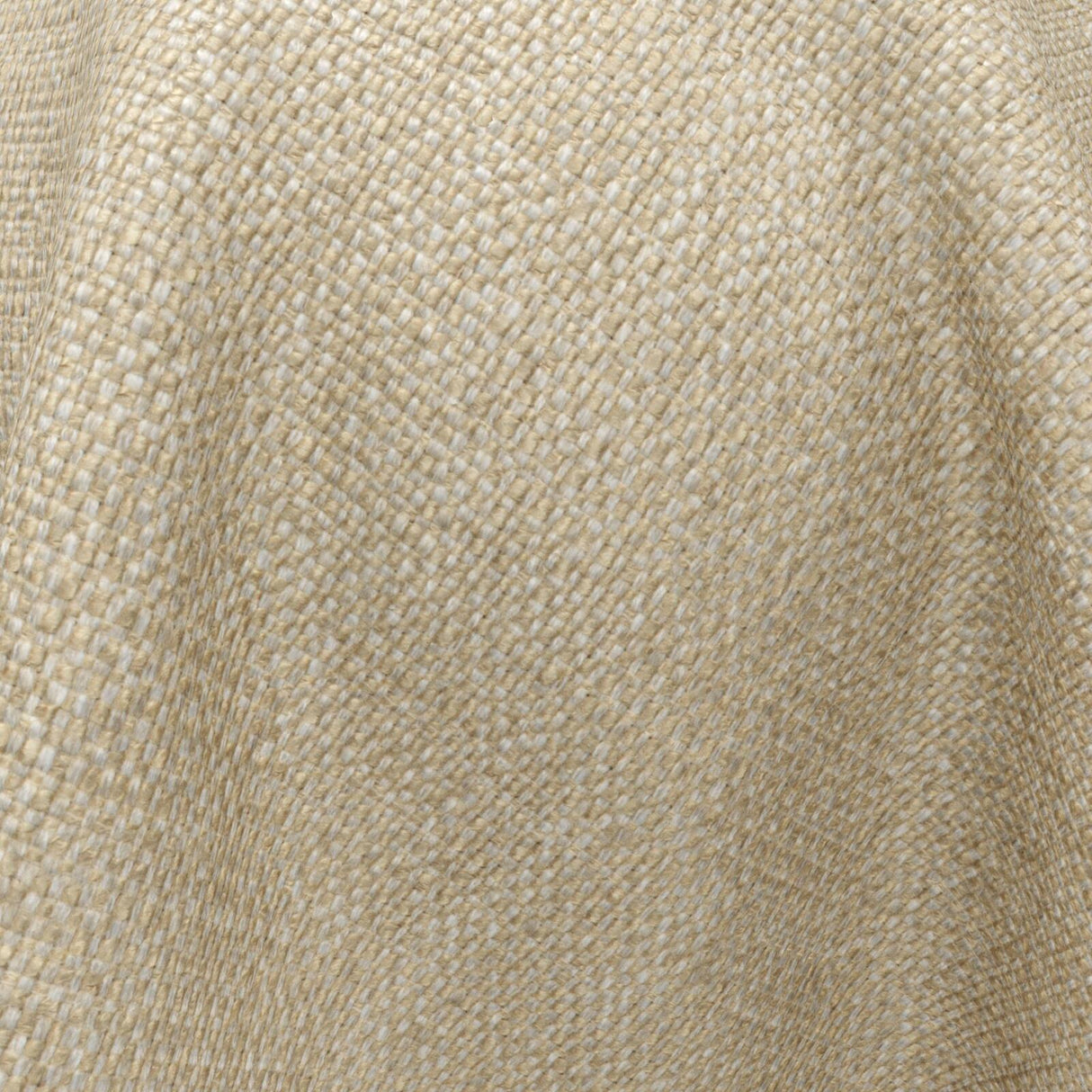 Gent 10 Sesame