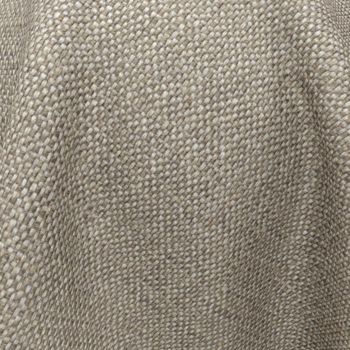 Gent 13 Wheat
