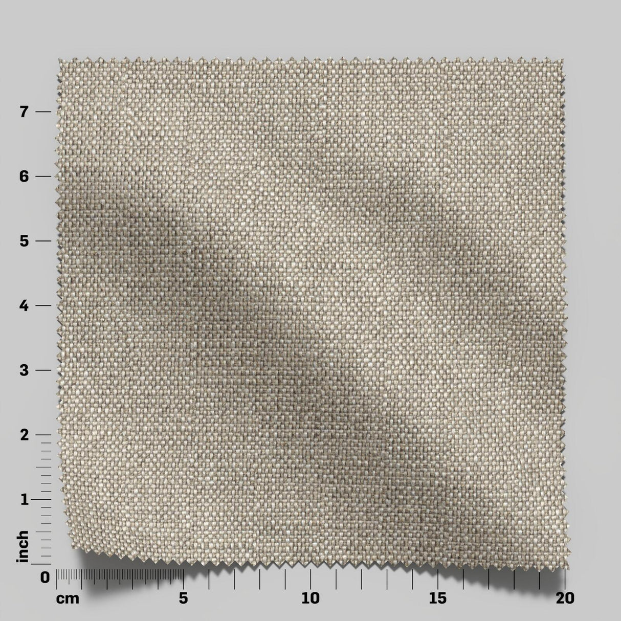 Gent 13 Wheat